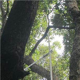 古樹防雷專用輕質(zhì)避雷針